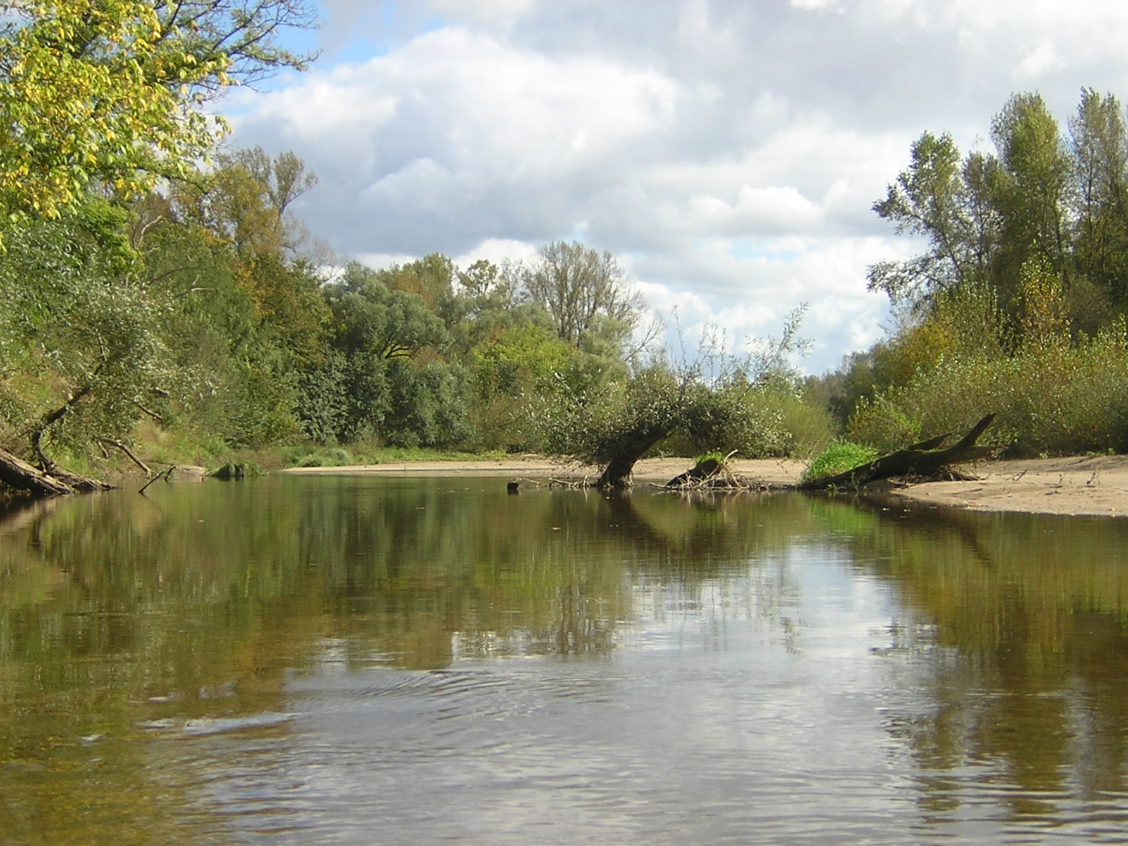 Test article avec image
